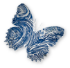 schmetterling