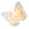 Schmetterling
