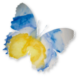 Schmetterling