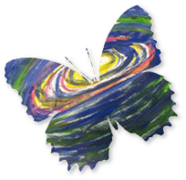 Schmetterling